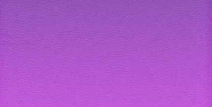 Pink / Purple Color Swatch